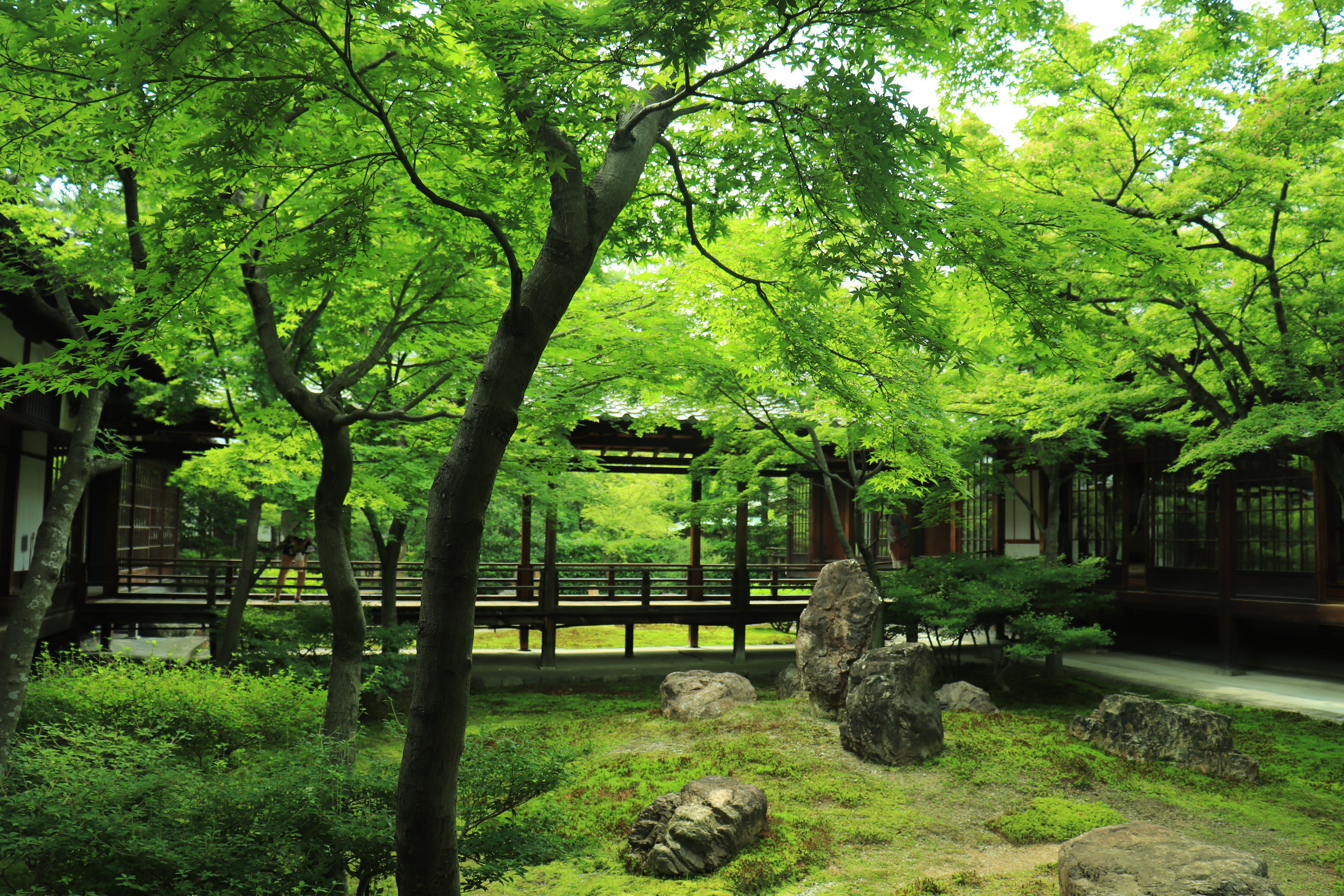 【京都旅行ブログ】2泊3日の京都旅行！新緑の季節の京都旅#2